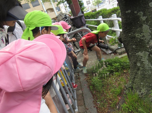 てくてくさんぽ楽しかったね！１