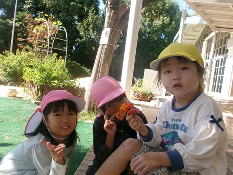 秋のいいものみつけたよ！１