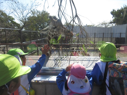 動物園楽しかったね！１