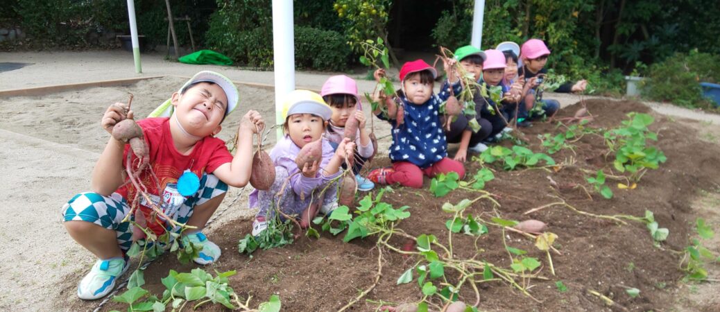 トップページ⑤