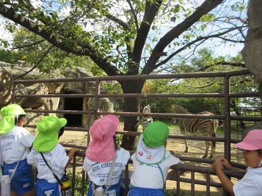 動物園に行ったよ！ (3)